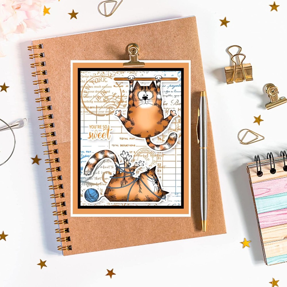 8.3x5.8in Cat Clear Stamps Lov - огляд і ціна Clear Silicone Stamps For Card Making