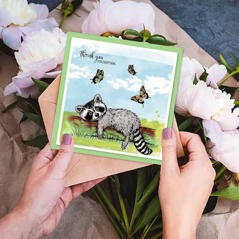 Realistic Raccoons Clear Stamp - огляд і ціна Clear Silicone Stamps For Card Making